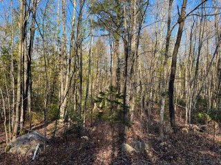 Land/Lot