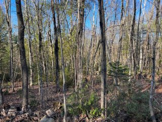 Land/Lot