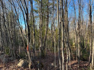 Land/Lot