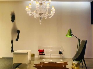 #211 - 242 Rue Young
