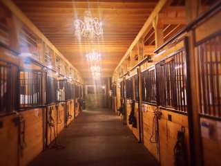 Stable