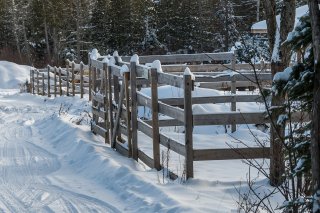 Land/Lot
