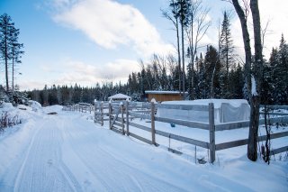 Land/Lot