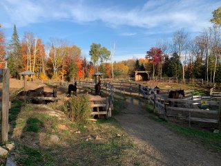 Land/Lot
