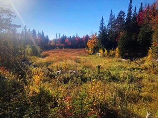 Land/Lot