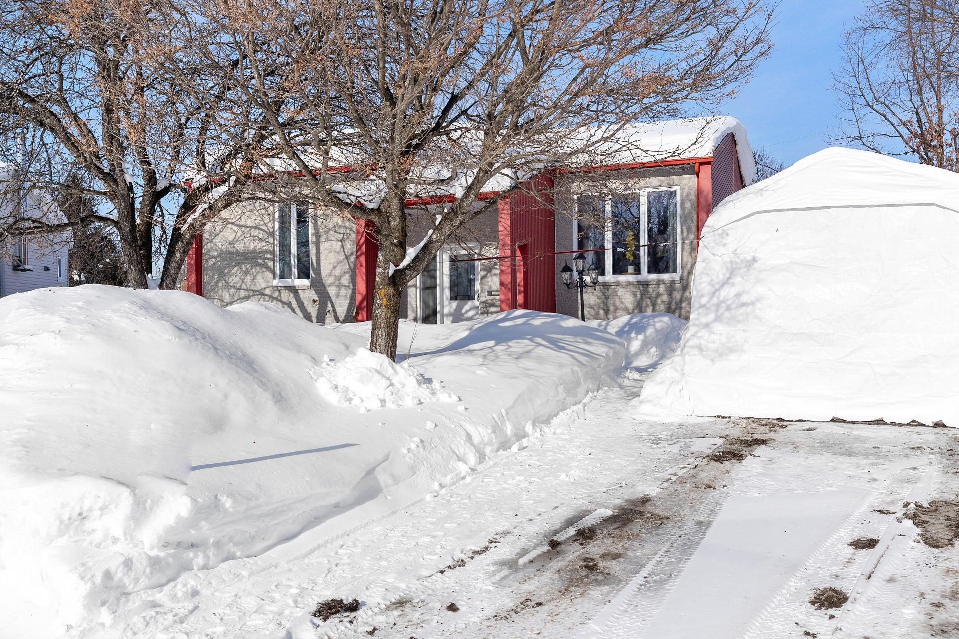 1118 Rue des Carpates