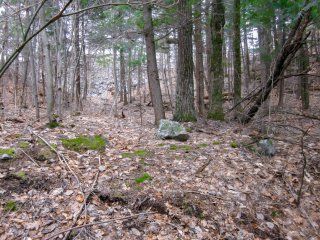 Terre/Terrain