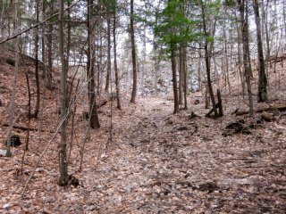 Terre/Terrain