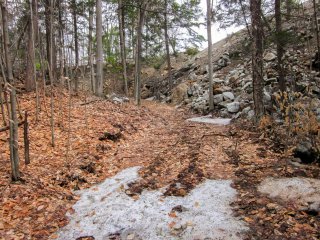 Terre/Terrain