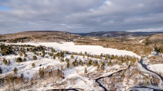 Aerial photo