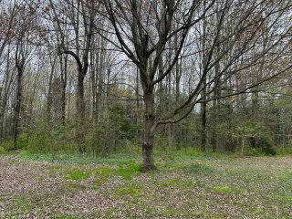 Land/Lot
