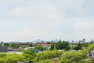 Vue