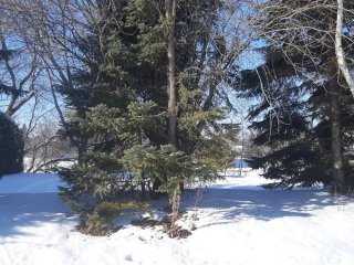 Terre/Terrain