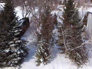 Terre/Terrain