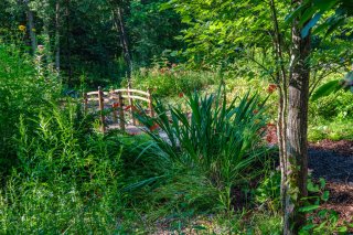 Jardin