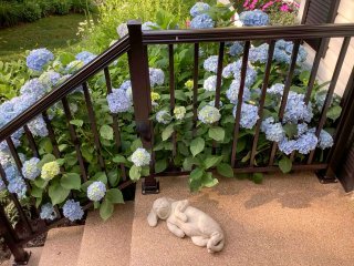 Escalier