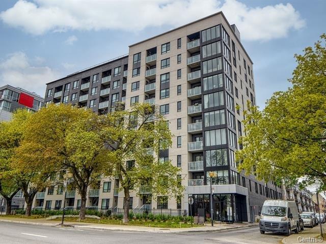 #210 - 1170 Rue Montcalm