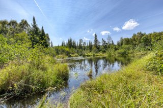 Accès au plan d'eau