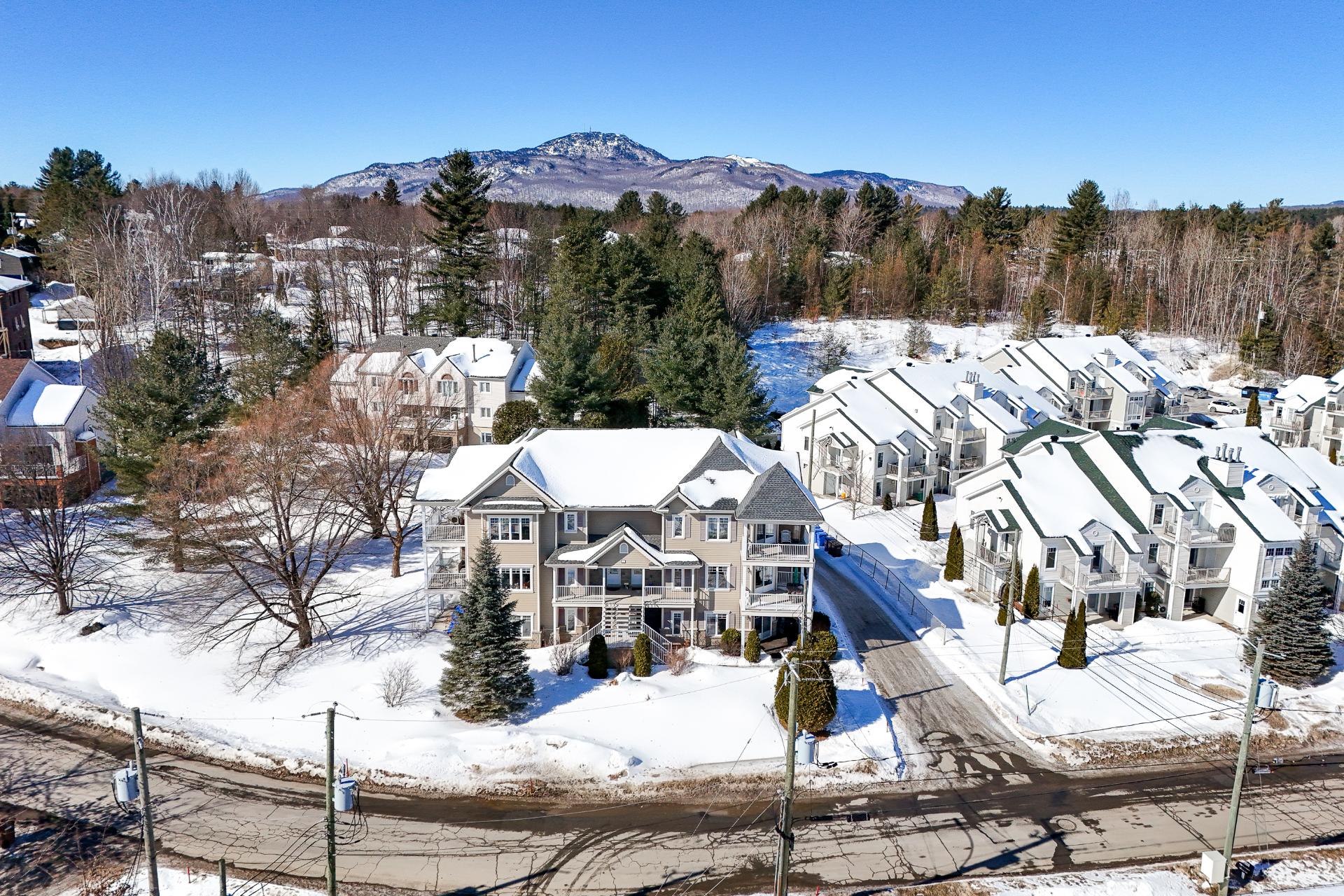 #1 - 66 Rue Desjardins