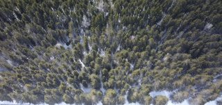 Land/Lot