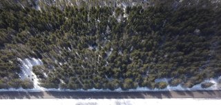 Land/Lot