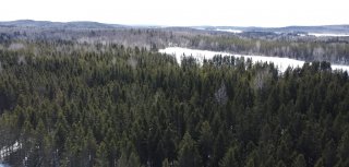 Land/Lot