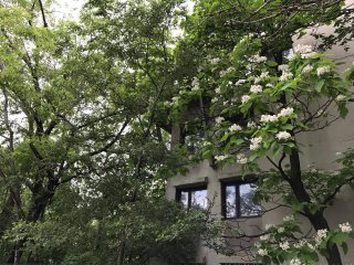 Extérieur