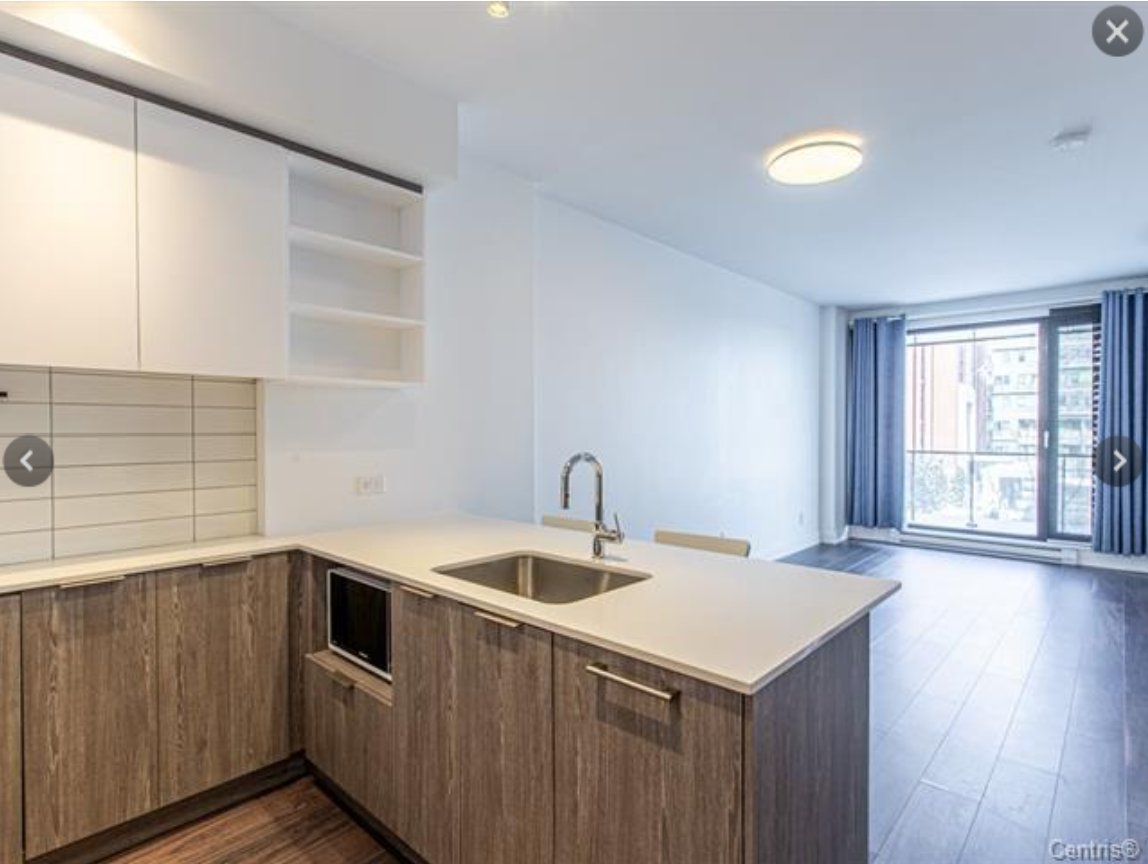 #306 - 3043 Rue Sherbrooke E.