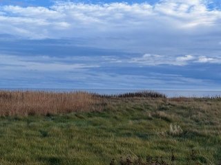 Vue sur l'eau