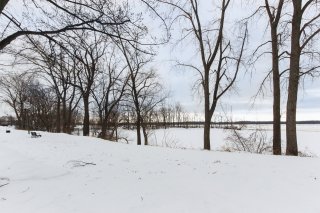 Vue