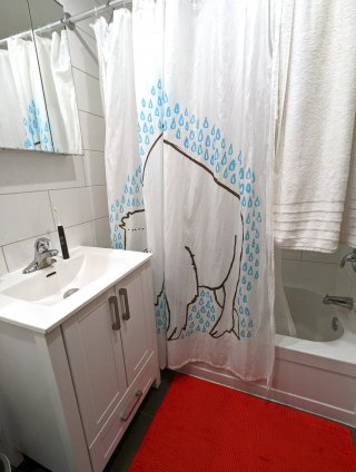 Salle de bains
