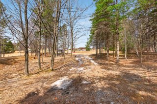 Land/Lot