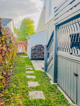 Backyard